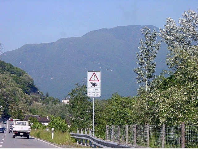 Xing Frösche