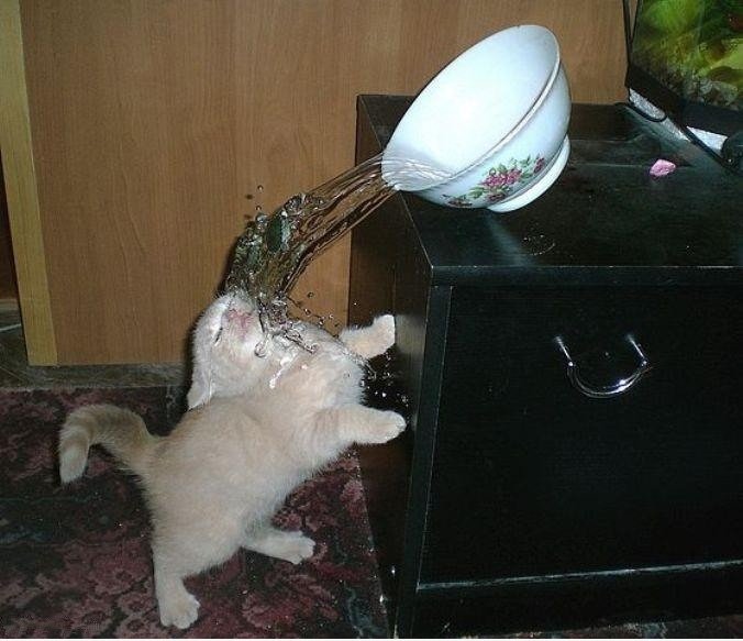 Timing ...
