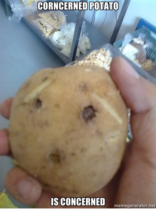 Concerned Potato