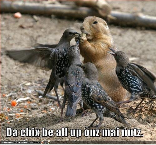 Bad-ass