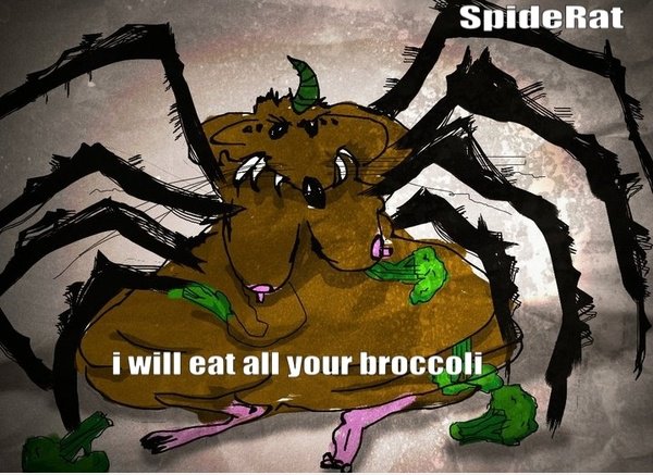 SpideRat