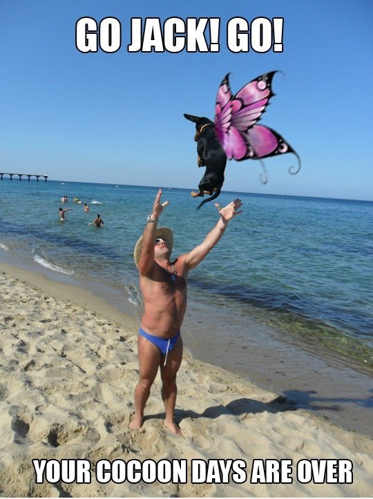 Capitain Jack Sparrow