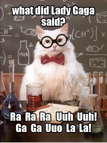 Wissenschaft Cat X Lady Gaga