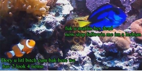 Finding Nemo