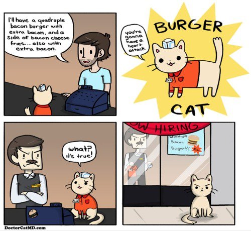 Doktor cat