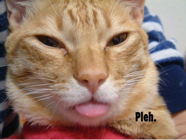 Pleh