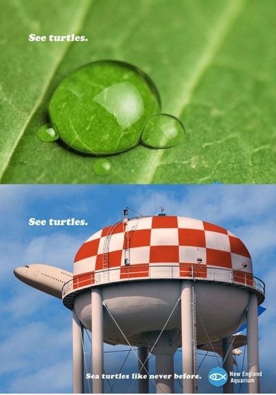 Schildkröten