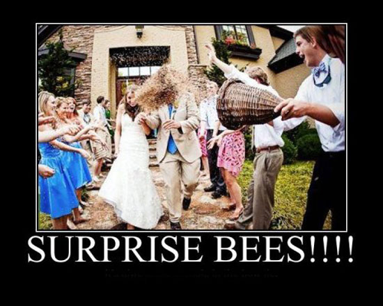 glueckwunsch bienen