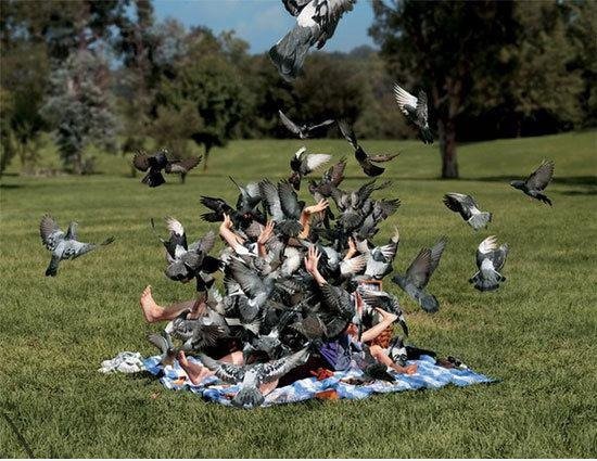Nicht füttern die Vögel