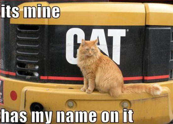 der cat gehoert mir - mein name drauf