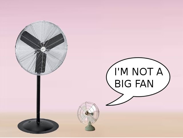 Ich bin kein großer Fan