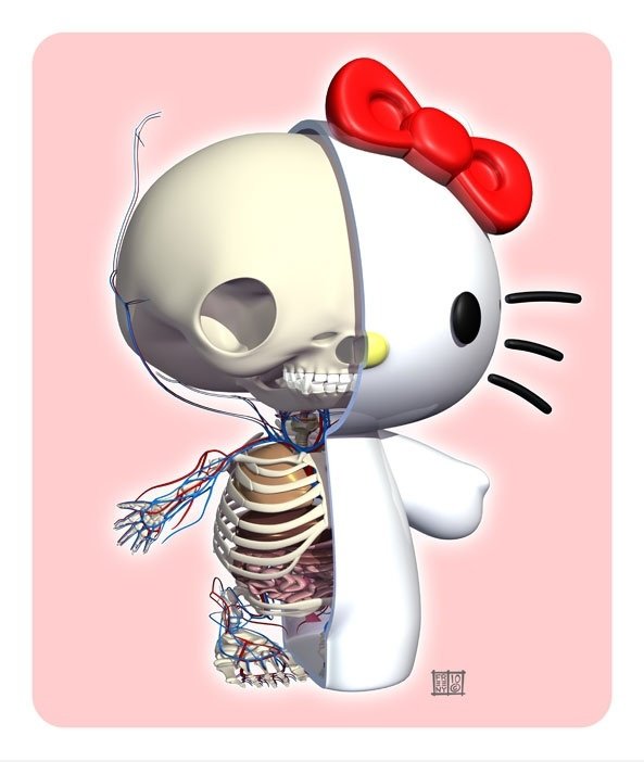 Hallo Kitty Anatomy