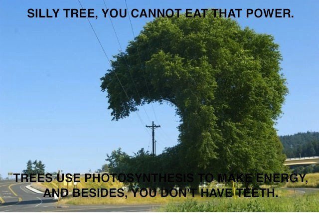 Om Nom Nom Baum