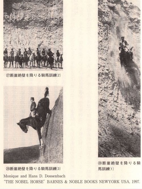 WTF Horse Training in Japan