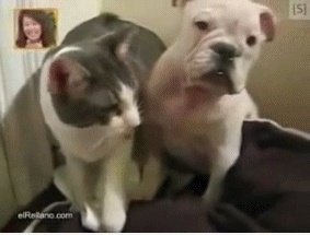 Zurück!