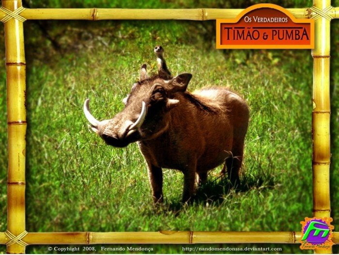 Timon & Pumbaa im realen Leben