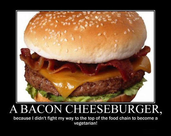 speck cheesebruger