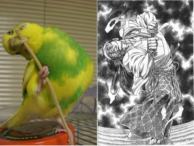 Samurai Vogel