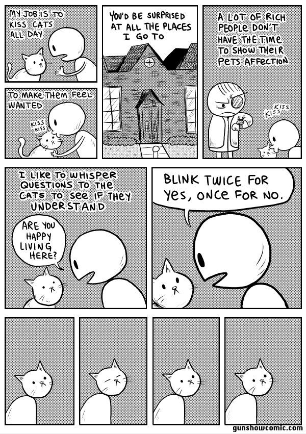 Fragen für Katzen