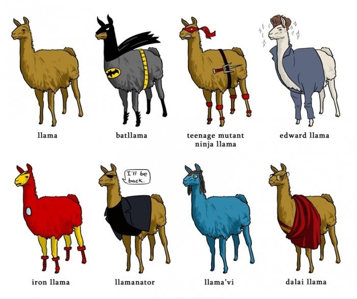 Hell Yeah Llamas