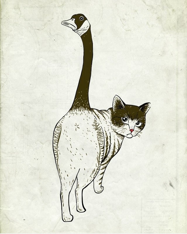 Warum eine Katze jagt seinen eigenen Schwanz