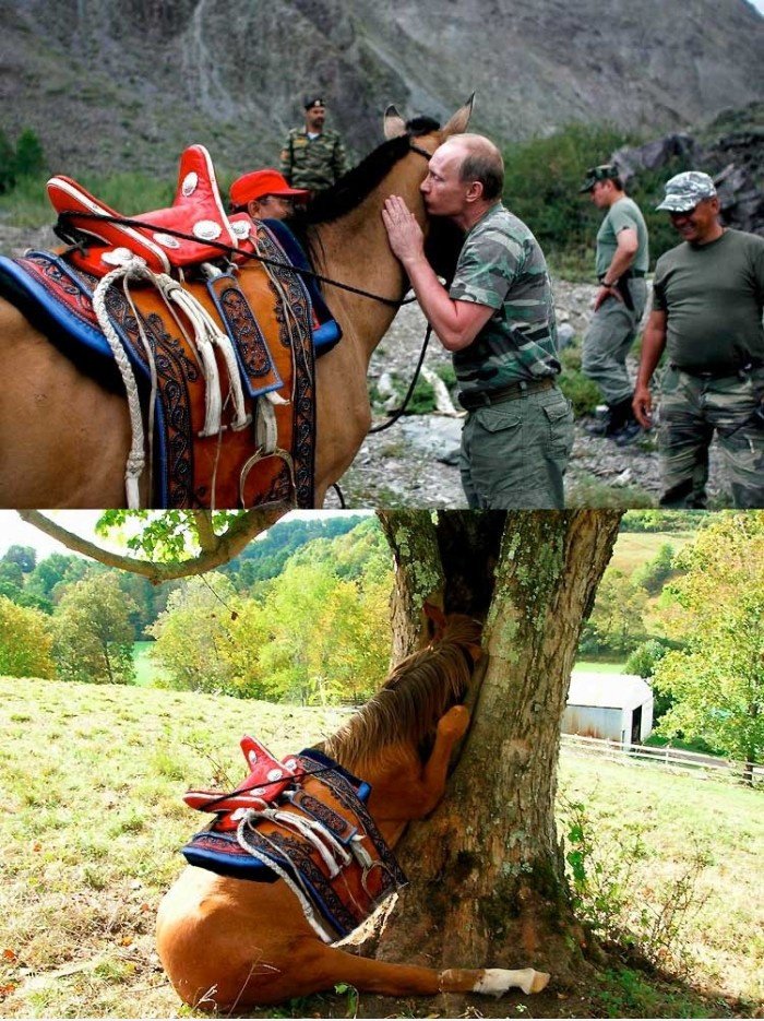 Putins Kuss