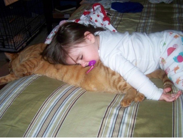 Too Tired