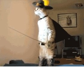Stehende Katze