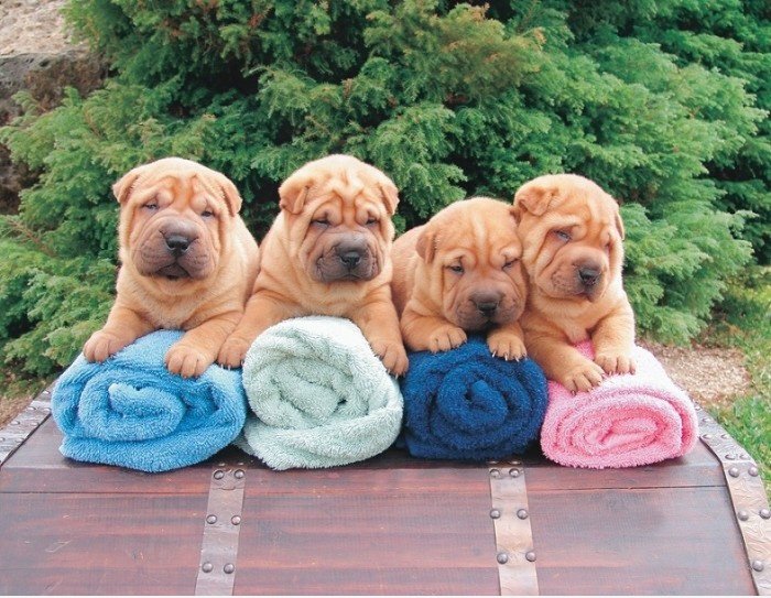 Bath Time