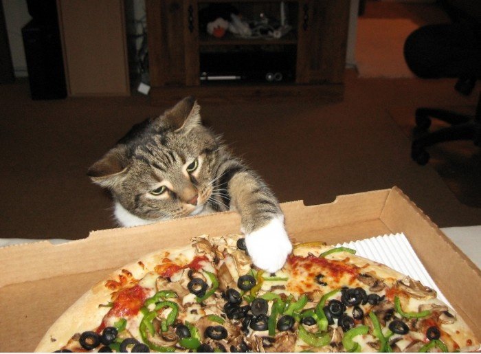 Grabbing pizza