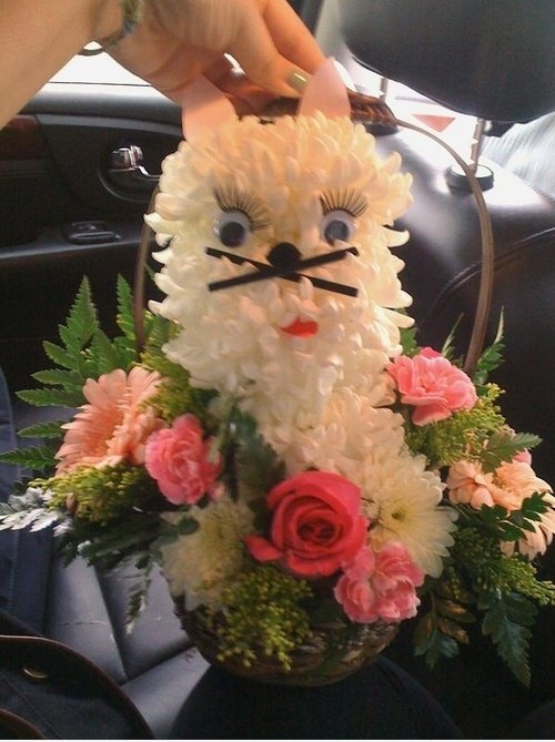 Flower Dog