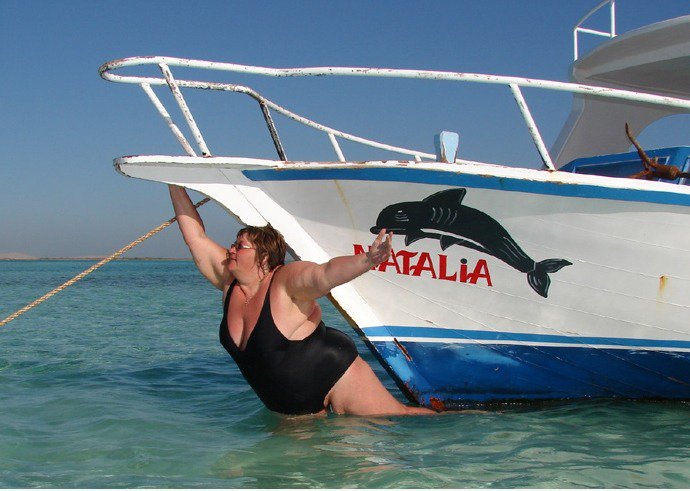 Dolphin Vortäuschen Fail-