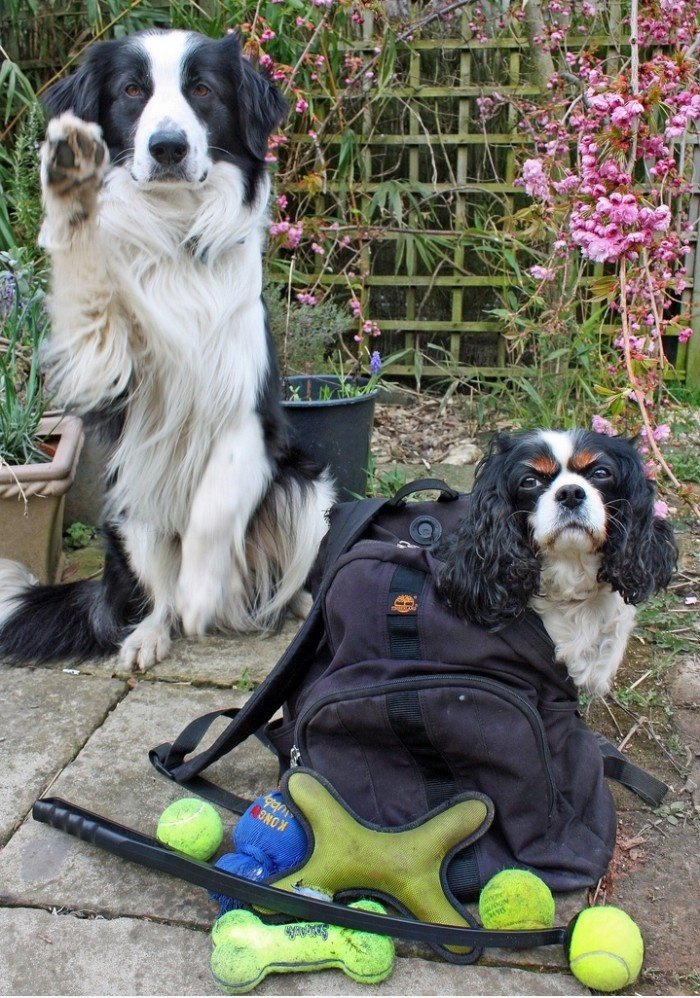 Going Somewhere? Wir sind zu kommen!