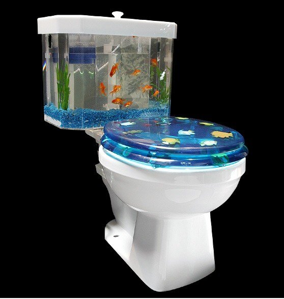 Ungewöhnliche WC