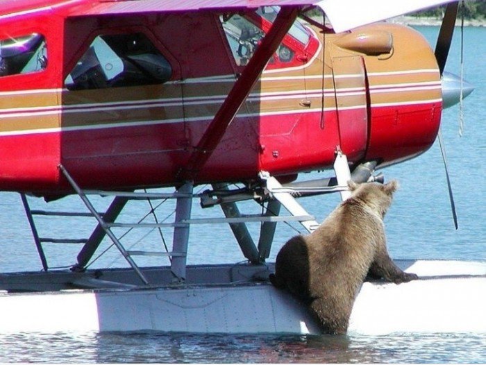 Lassen Sie mich fliegen dieses Flugzeug!