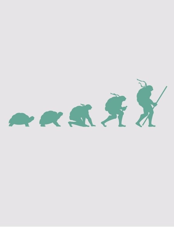 Evolution