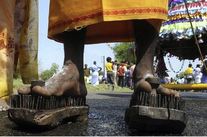 WTF Slippers!