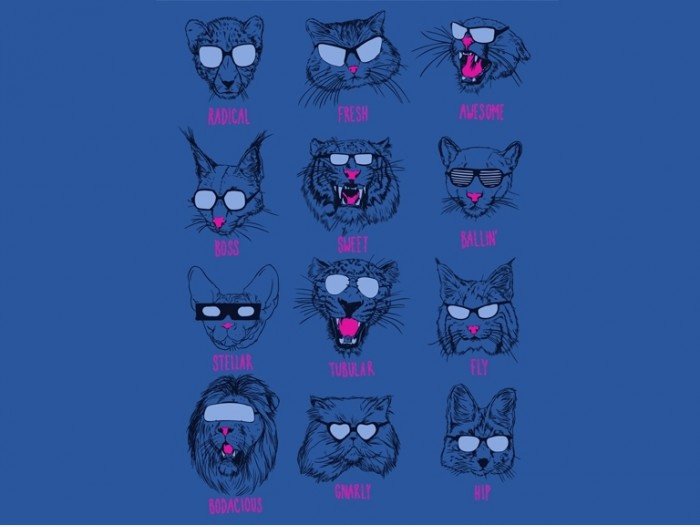 Cool Cats