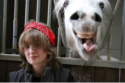 Lachendes Pferd
