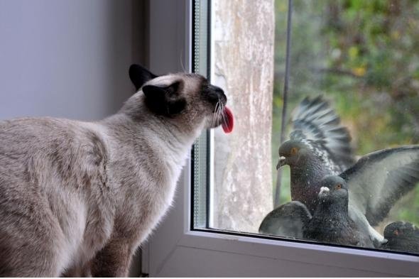 Bite me!