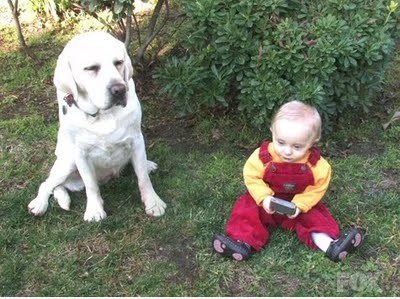 Brian und Stewie Griffin