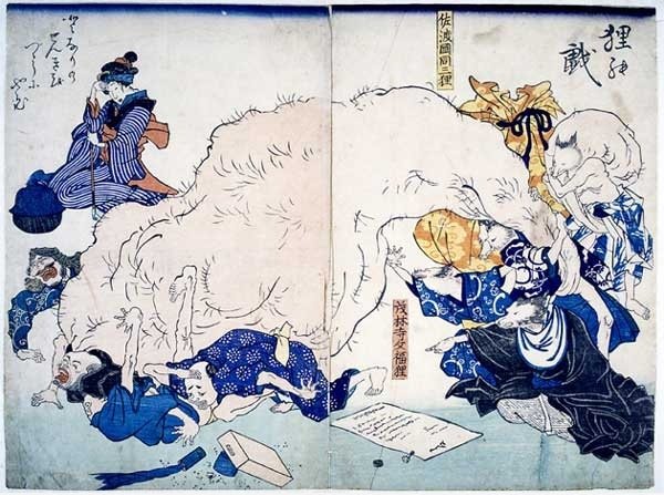 Waschbären in Japan