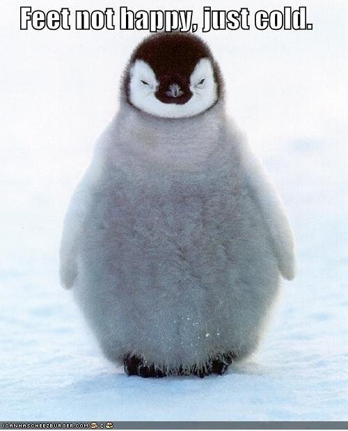 Happyfeet ist nicht glücklich