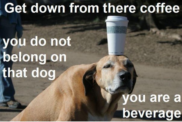 Runter von dort Kaffee