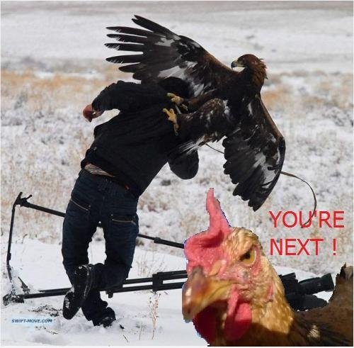 Du bist der nächste!