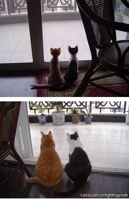 Zeit, wenn wir dünn sind