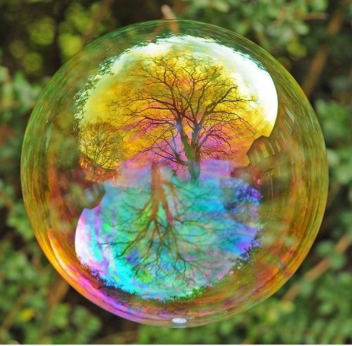 Baum in einer Seifenblase im Vordergrund