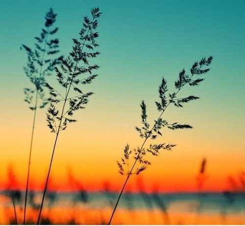Sonnenuntergang