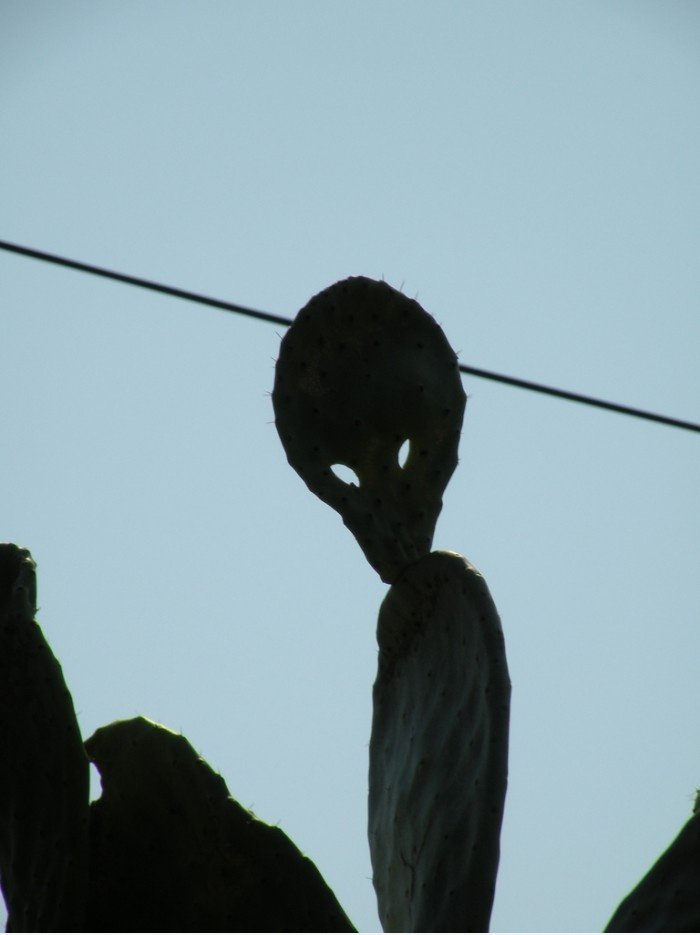 ET is watching you!