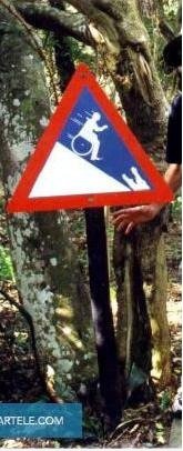 WTF zoo Unfall